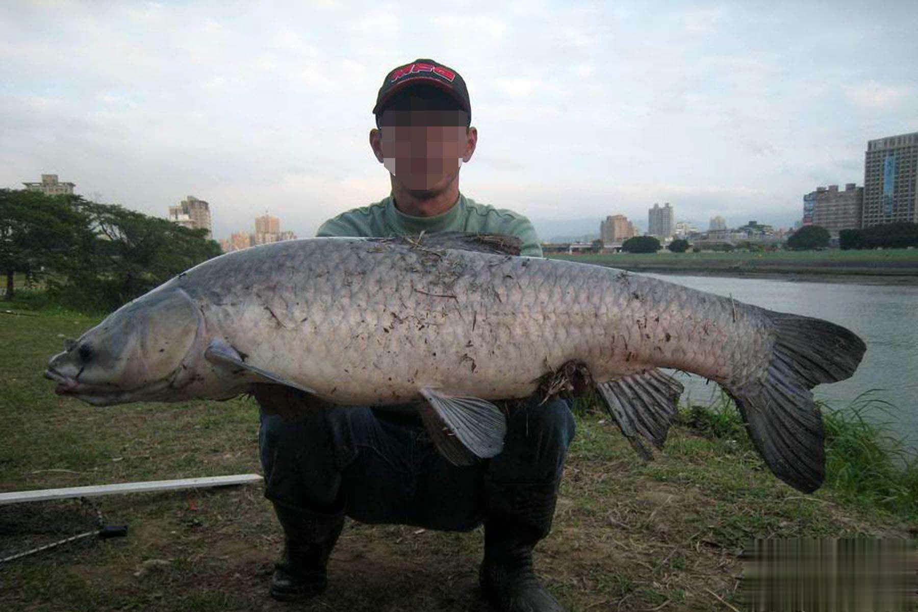 span, 但仍然会进